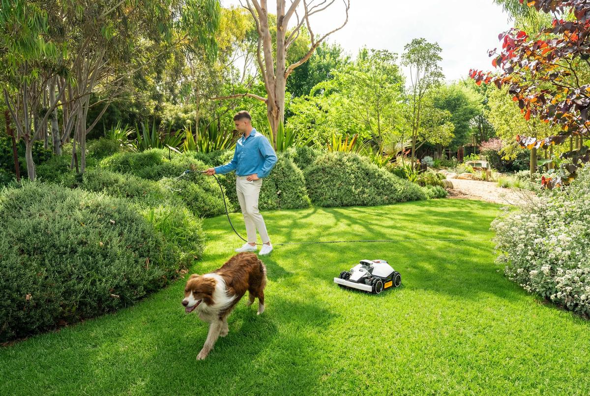 Un robot tondeuse Mammotion au travail dans un jardin arboré